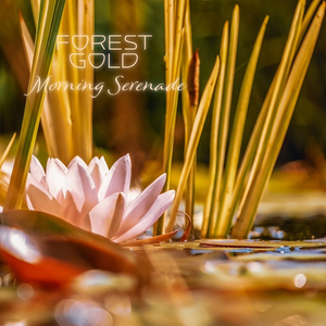 黑人与国产美女激情视频了
