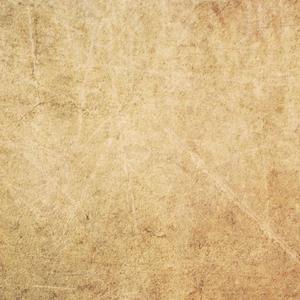 黑人与国产美女激情视频了
